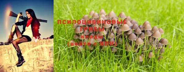 герыч Верхний Тагил