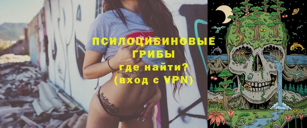 герыч Вяземский