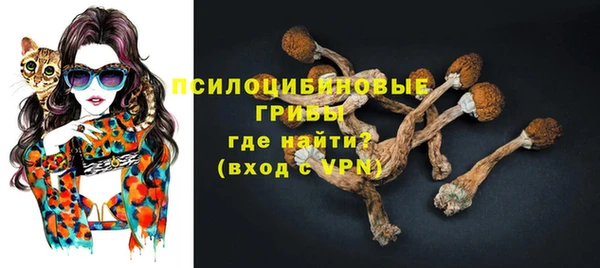 2c-b Вязьма