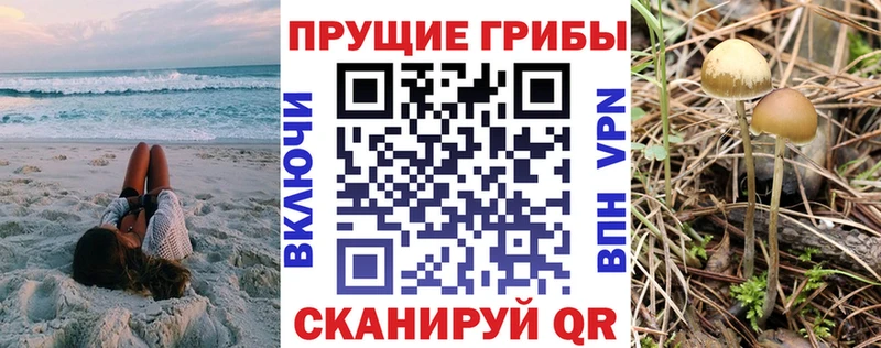 хочу наркоту  kraken зеркало  Псилоцибиновые грибы прущие грибы  Жигулёвск 
